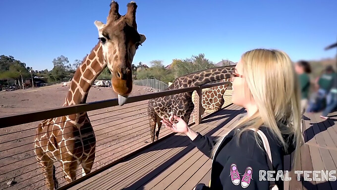 Bekijk De Pov-Seks Van Deze Echte Tiener Met Een Grote Lul En Grote Tieten