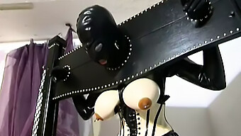 Bondage Bd...